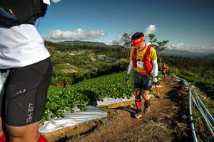 BIB: 
                            <button type="button" onclick="openModal(19123558)" class="btn btn-primary btn-sm float-right btn-popup" data-toggle="modal" data-target=".modal-high-quality">
                        <i class="fas fa-shopping-cart"></i> Add to Cart
                    </button>
                                            <button type="button" onclick="isThisMe(19123558, true)" class="btn btn-success btn-sm float-right btn-popup btn-isme hidden" data-toggle="tooltip" data-placement="bottom" title="นี่คือรูปของคุณใช่ไหม คลิกที่นี่เพื่อเอาเข้าอัลบั้ม">
                        <i class="fas fa-plus"></i> Add to album
                    </button>
                    <button type="button" onclick="isThisMe(19123558, false)" class="btn btn-warning btn-sm float-right btn-popup btn-isnotme hidden">
                        <i class="fas fa-ban"></i> Remove from album
                    </button>